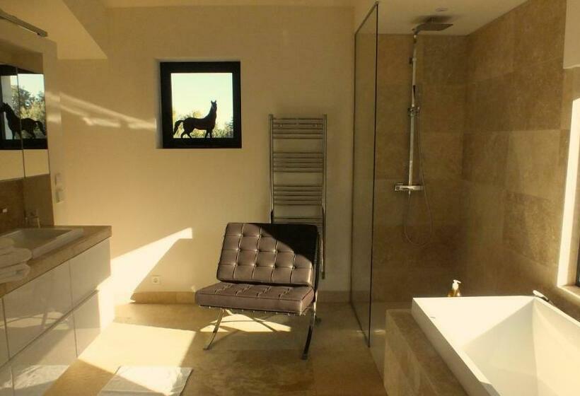 جناح جونيور ديلوكس, Mas Notre Dame