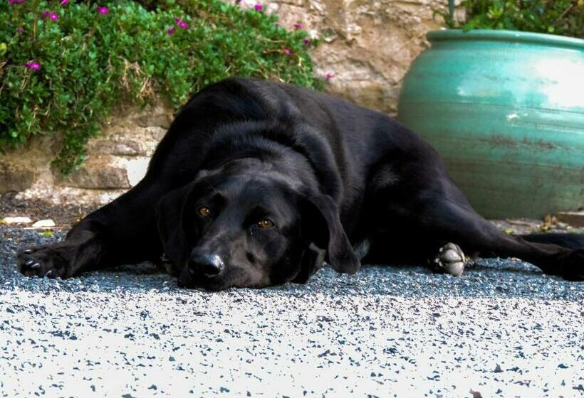 Номер Стандарт Трехместный, Chambres D Hotes Les Pieris