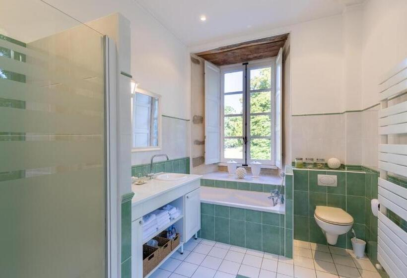 جناح, Château De La Marronnière