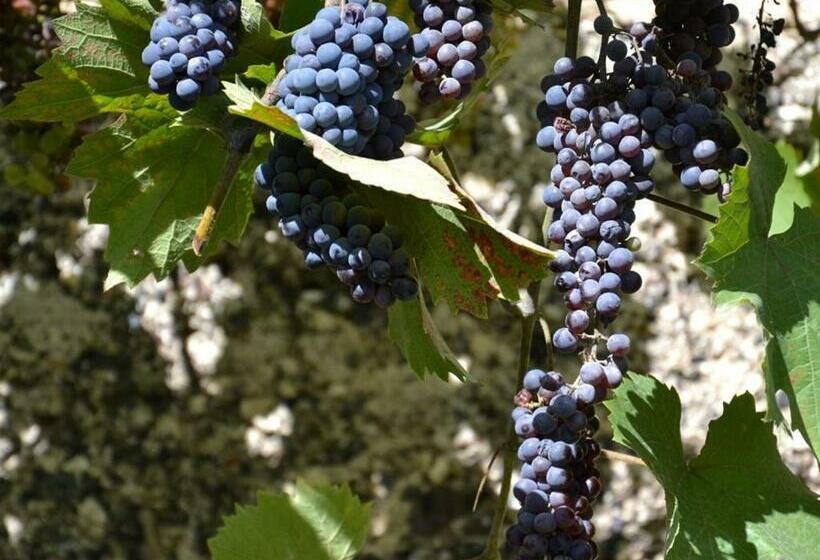 חדר סופריור, La Devinière