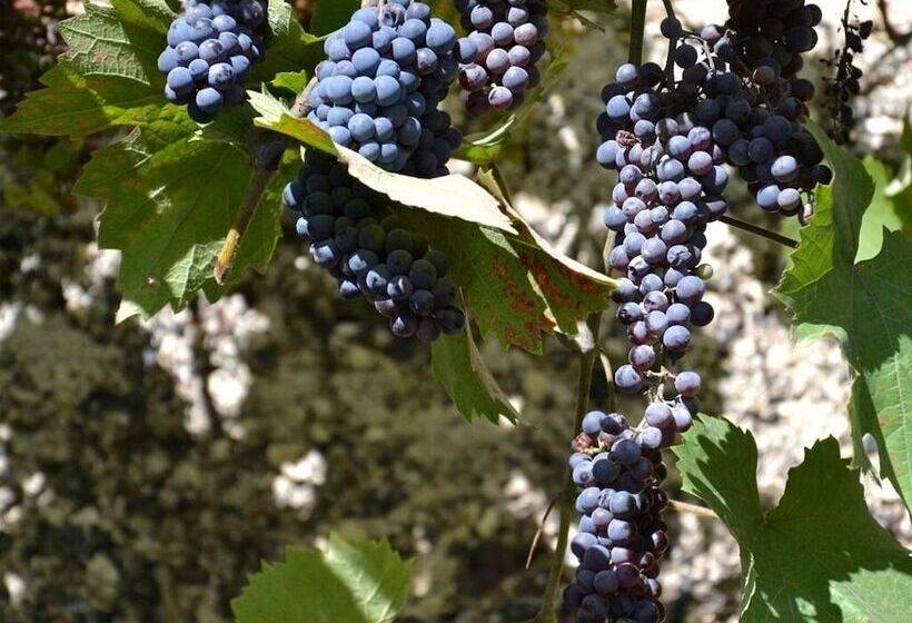 חדר סופריור, La Devinière