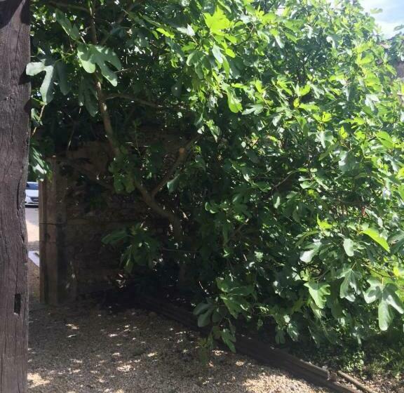 חדר סטנדרט לשלושה עם נוף לגינה, Le Moulin De Champagne