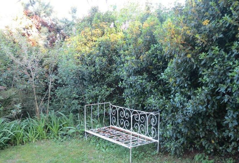 اتاق استاندارد, Mas Myro