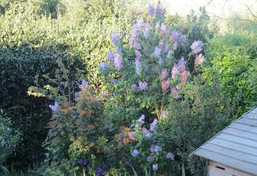 اتاق استاندارد, Mas Myro