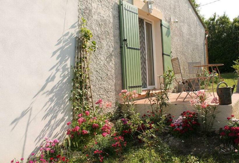 اتاق استاندارد, Mas Myro