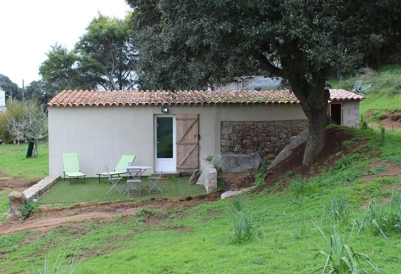 Номер Стандарт, & Restaurant Les Bergeries D'alata