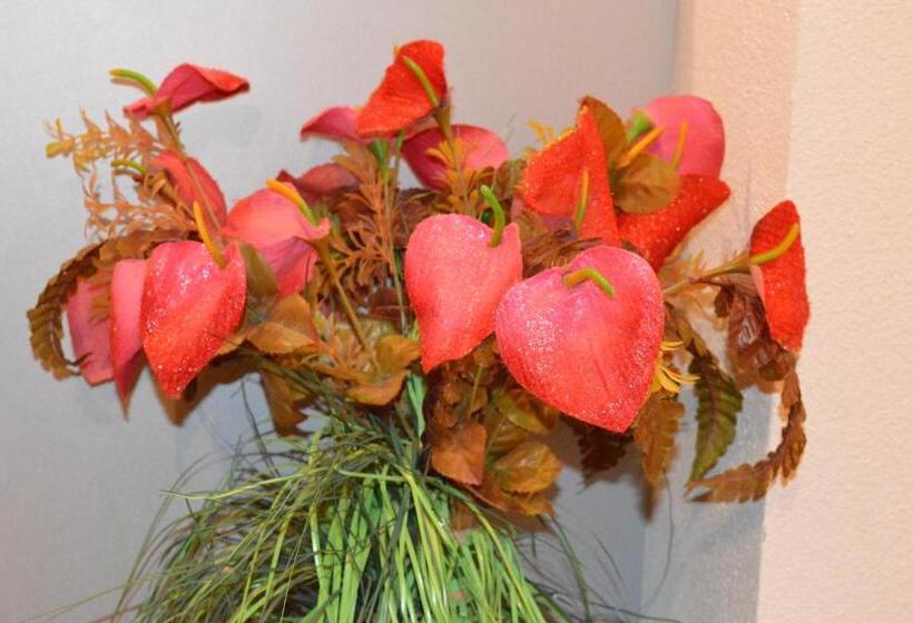 Номер Стандарт, Hôtel Timgad