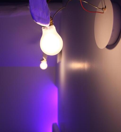 Номер Стандарт, L Hibernie