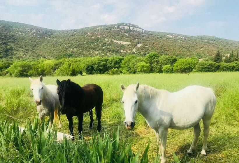 침실 1개 주택, Domaine Mas Pigné