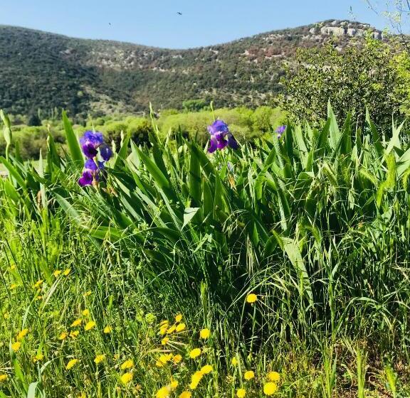 수피리어 룸 가든 전망, Domaine Mas Pigné