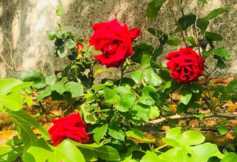 침실 1개 테라스 아파트, Domaine Mas Pigné