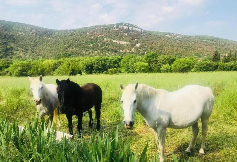 Апартаменты 1 Спальня с Террасой, Domaine Mas Pigné