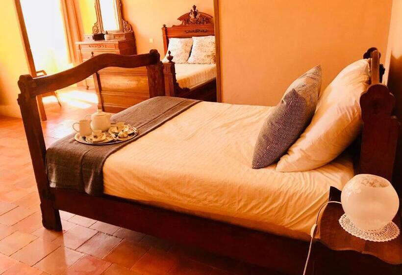 스탠다드 스튜디오 정원 전망, Domaine Mas Pigné