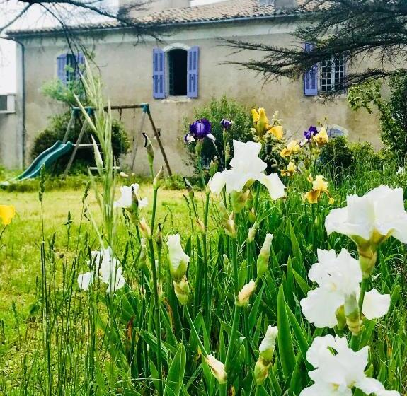 스탠다드 스튜디오 정원 전망, Domaine Mas Pigné