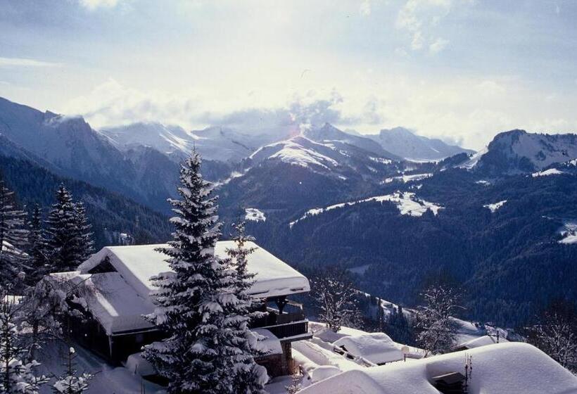 Полулюкс, Les Chalets Hôtel De La Croix Fry