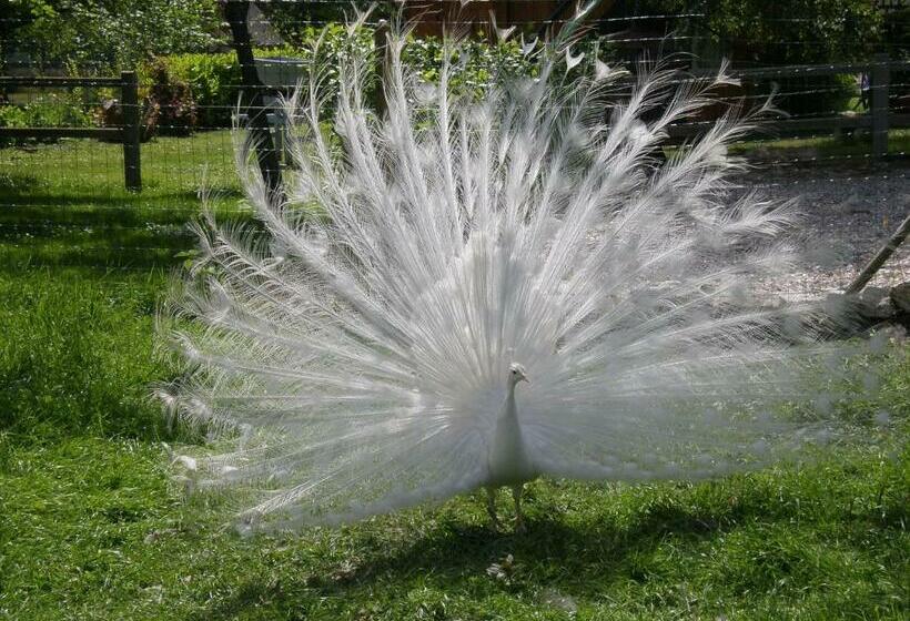 غرفة قياسية مزوَّدة بصالون, Chambre D'hôtes Au Fil De L'eau