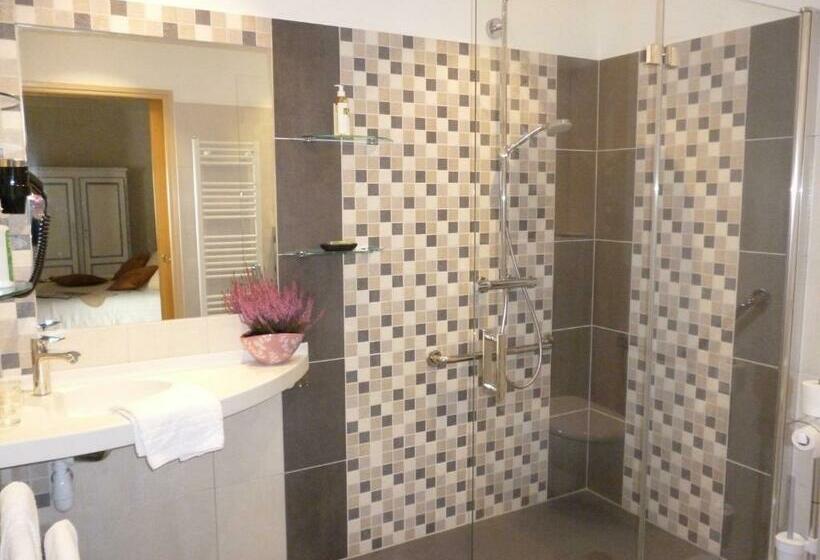 Номер Стандарт Адаптированный для Инвалидов, Hôtel Picardia