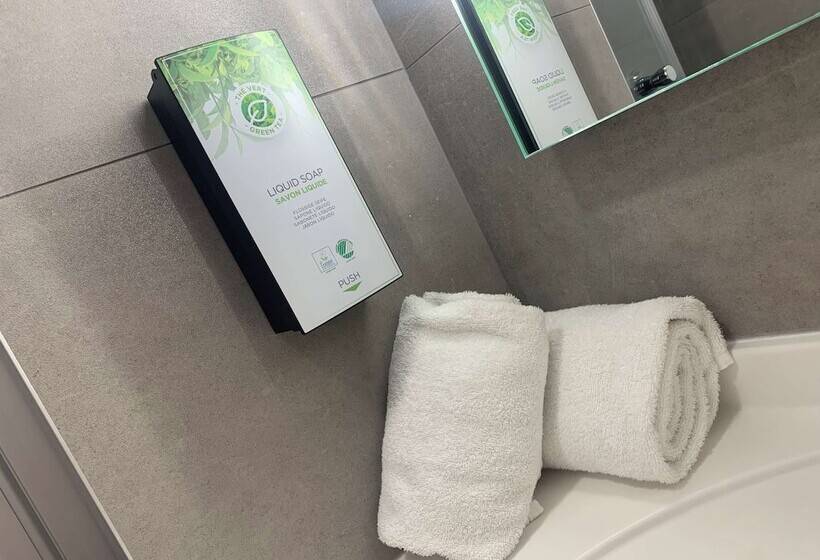 スタンダードルーム, Kyriad Montpellier Ouest St Jean De Védas   A709