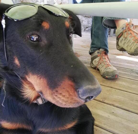 غرفة قياسية فردية, L'Auberge d'Eygliers