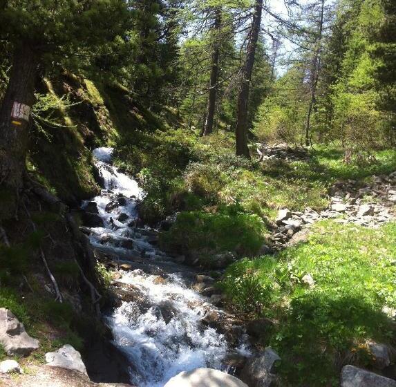 Номер Стандарт, Le Chal Heureux