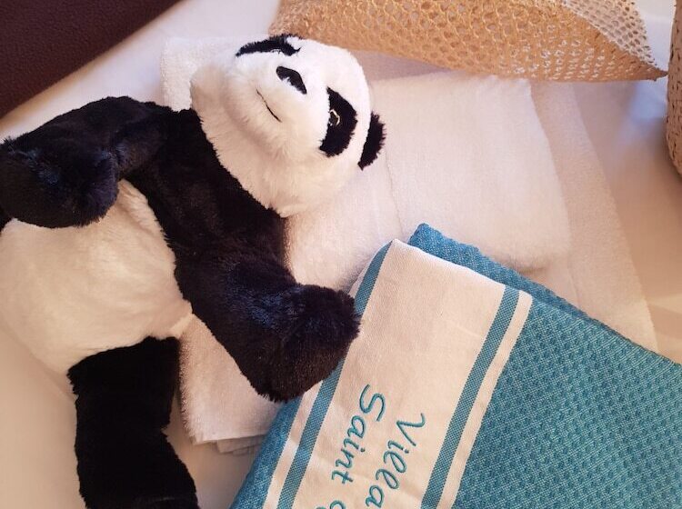 家庭间, Villa Maya