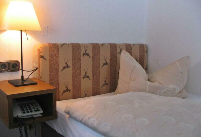 اتاق استاندارد یک نفره, Alpengasthof Hotel Schwand