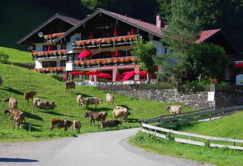اتاق لوکس با بالکن, Alpengasthof Hotel Schwand