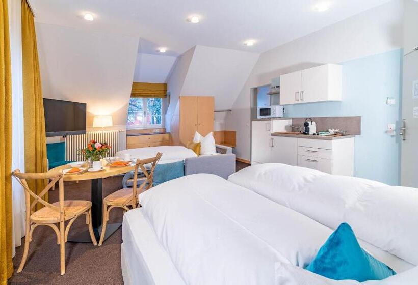 דירת חדר, Apartment Hotel Schreier