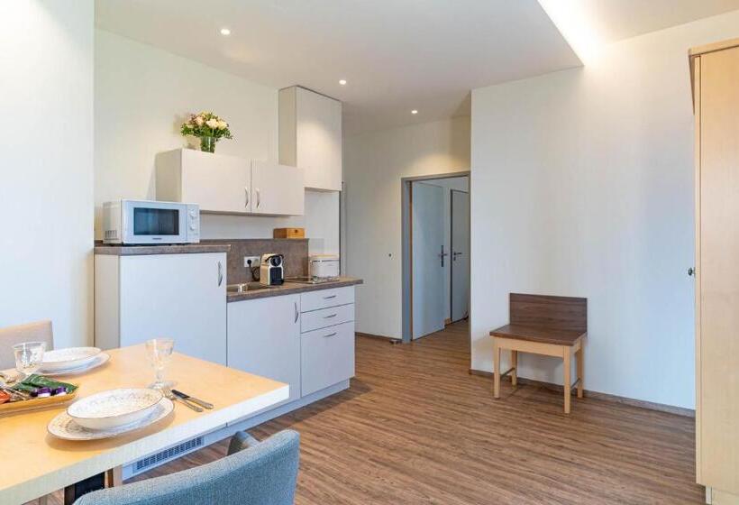 דירה בת חדר שינה 1 עם מרפסת, Apartment Hotel Schreier