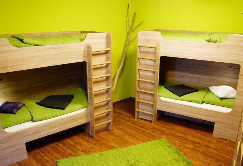 تختخواب در اتاق مشترک, Bavaria City Hostel   Design Hostel