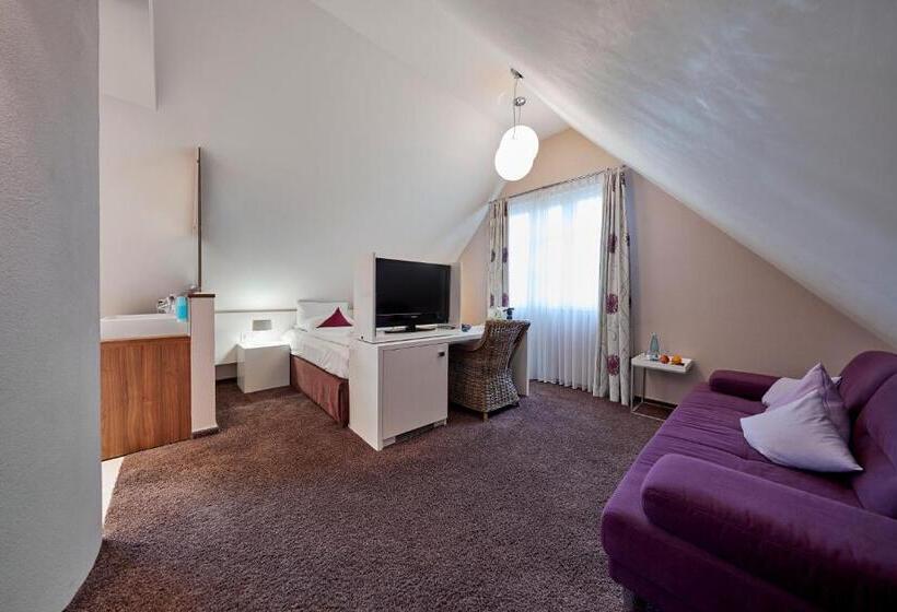 适合残疾人使用的标准间, Die Reichsstadt   Hotel Spa Und Restaurant