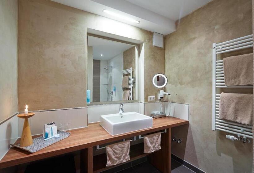 不带空调的标准房间, Die Reichsstadt   Hotel Spa Und Restaurant