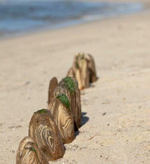 スイート, Strandvogtei Sylt