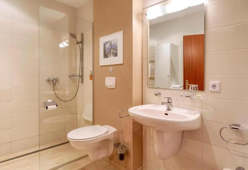 Номер Стандарт Индивидуальный, F Ritz