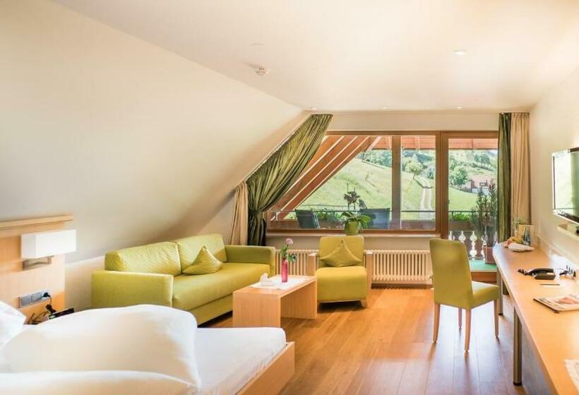 Номер Стандарт, Ludinmühle