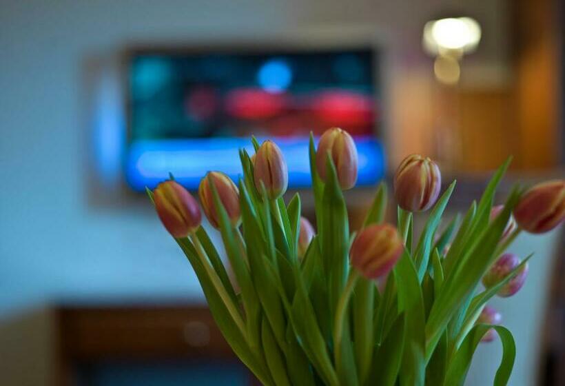 غرفة قياسية, Reindl Suiten & Appartments