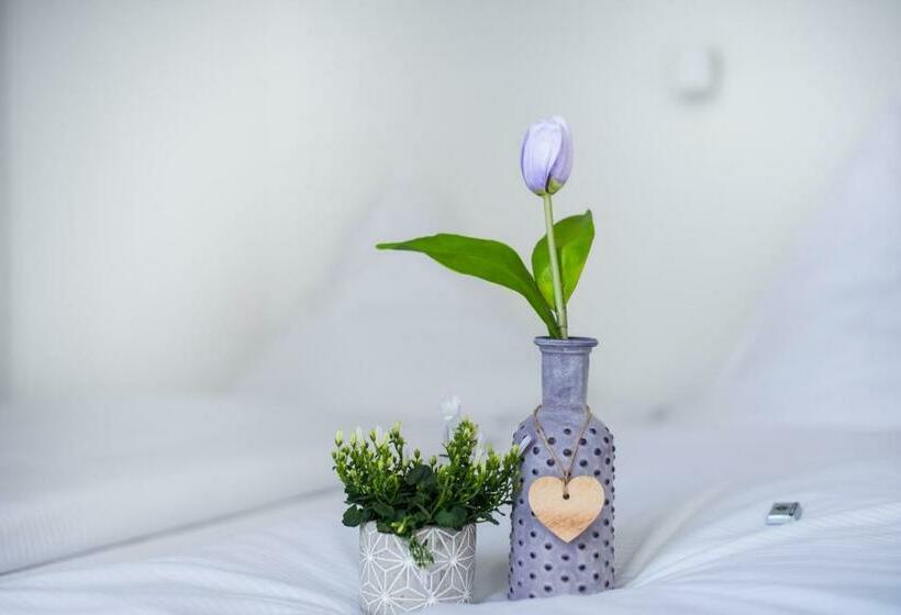 스탠다드 싱글 룸, Sova