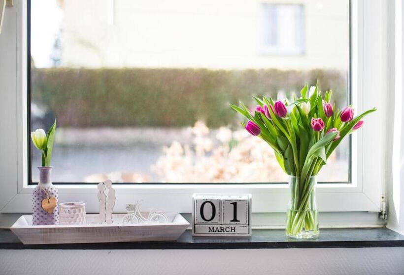 스탠다드 룸, Sova