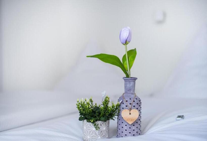 스탠다드 룸, Sova