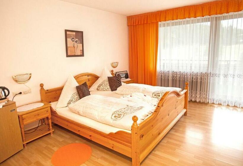 Номер Стандарт, Bed & Breakfast Auerhahn Black Forest