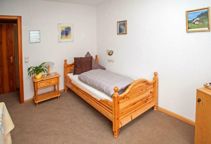 Номер Стандарт Индивидуальный, Bed & Breakfast Auerhahn Black Forest