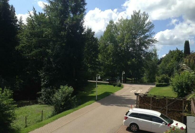 غرفة قياسية, Waldsee