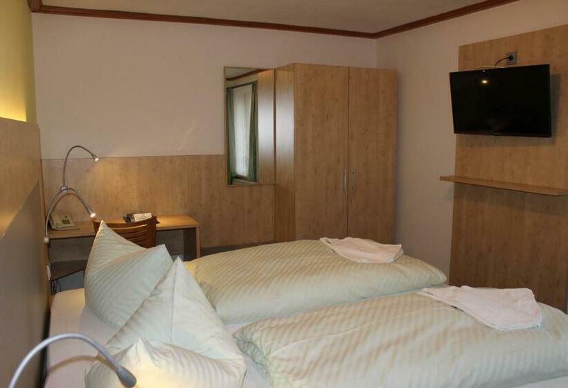 Номер Basic, Landhotel Gasthof Zwota