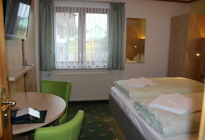Номер Basic, Landhotel Gasthof Zwota