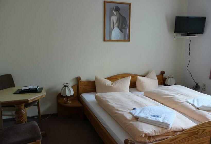 Номер Basic, Landhotel Gasthof Zwota