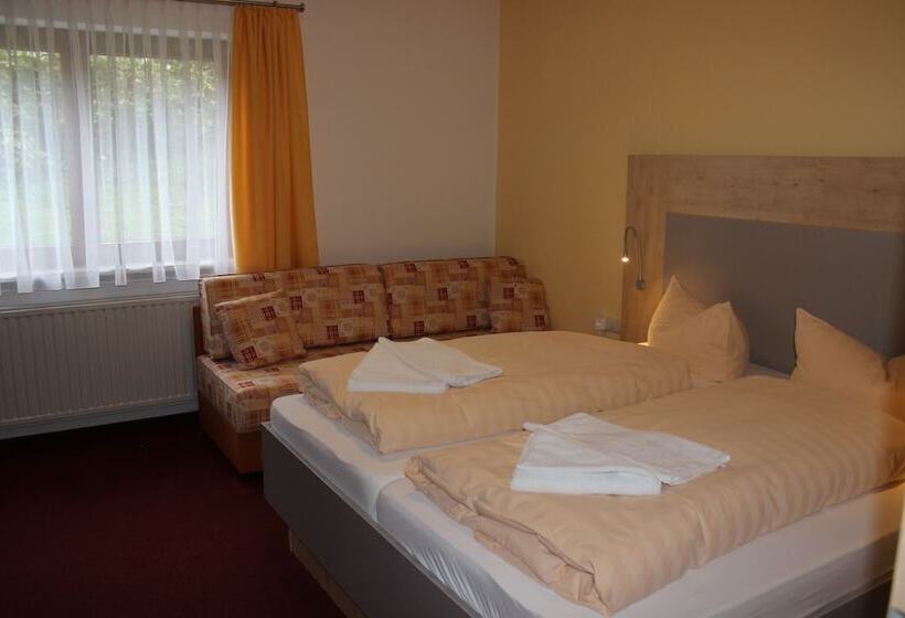 Номер Стандарт, Landhotel Gasthof Zwota