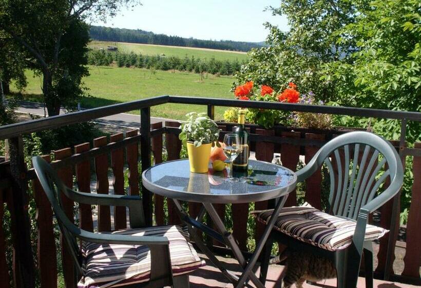 スタンダードシングルルーム, Wildenburger Hof