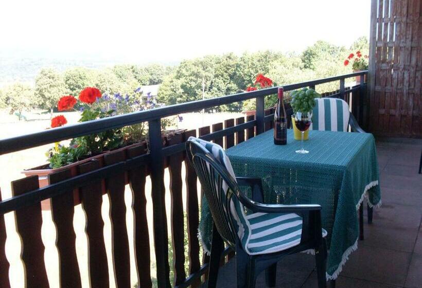 スタンダードルーム, Wildenburger Hof