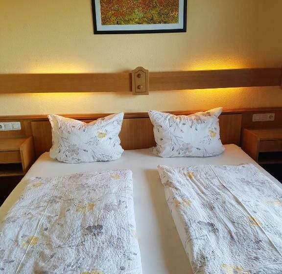 スタンダードシングルルーム, Wildenburger Hof