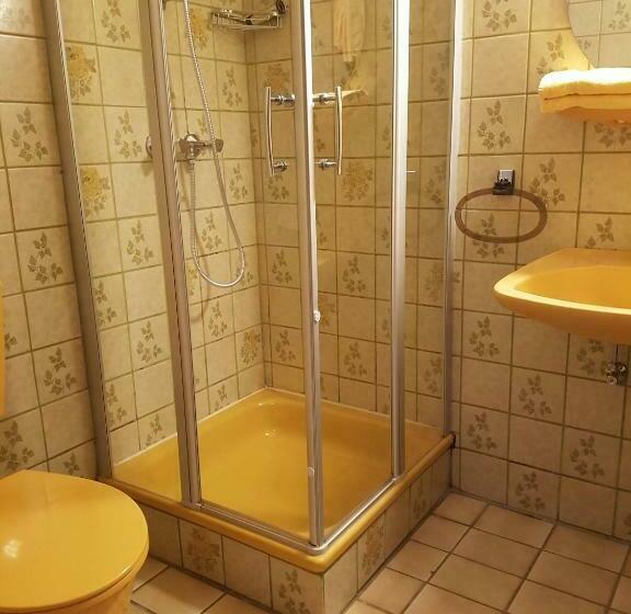 スタンダードシングルルーム, Wildenburger Hof